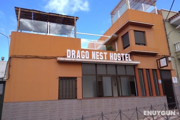 Drago Nest Hostel Genel