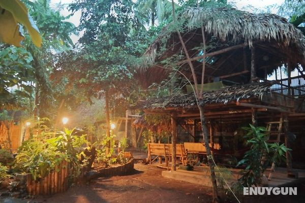 Dream-Big Eco Hostel Öne Çıkan Resim