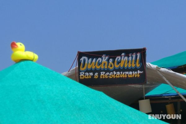 DucknChill-Agonda Genel