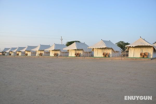 Dynasty Desert Camp Genel