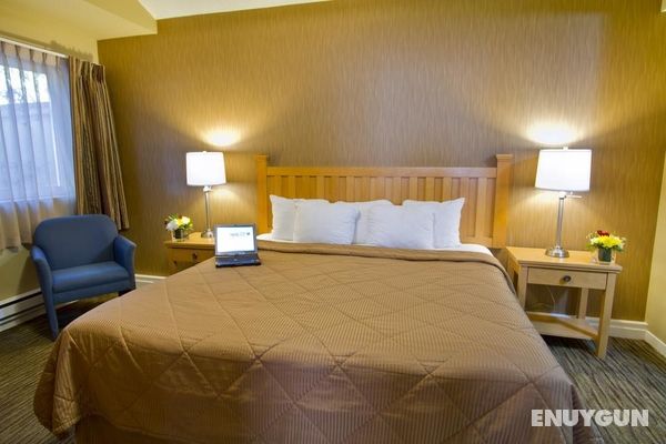 Econo Lodge Inn & Suites N. Vancouver Genel