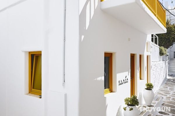 Elaia Luxury Suites Mykonos Genel