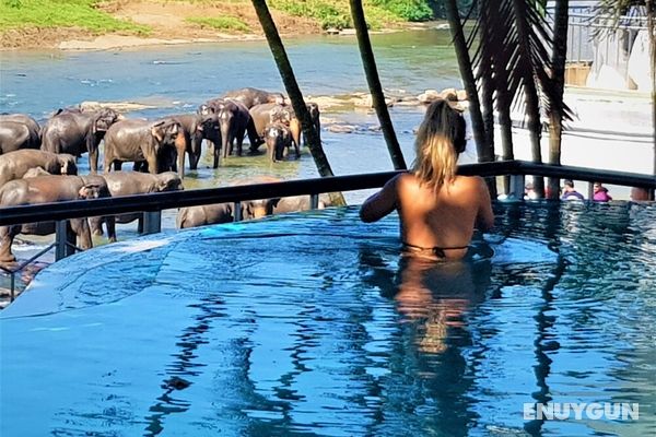 Hotel Elephant Park Öne Çıkan Resim