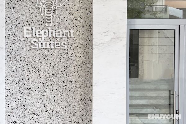 Elephant Suites Öne Çıkan Resim