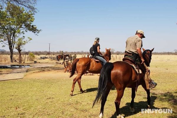 Elephant's Eye, Hwange Genel