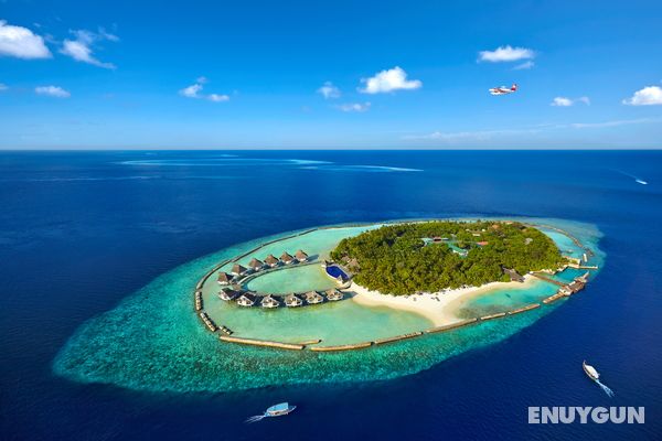 Ellaidhoo Maldives by Cinnamon Genel