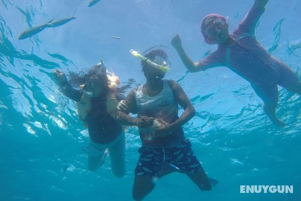 Equa Reef Maldives Genel