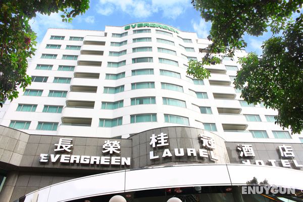 Evergreen Laurel Genel