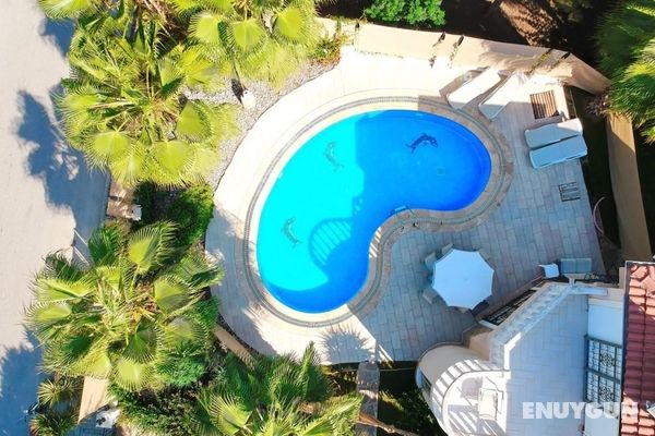 Exceptional Villa With Private Pool in Antalya Oda