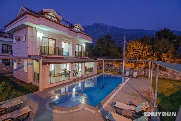 Fethiye Prestij Garden 1 Villa Dış Mekan