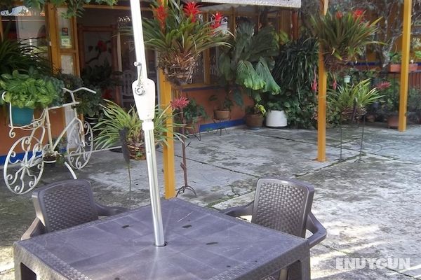 Finca Hotel Veracruz Genel