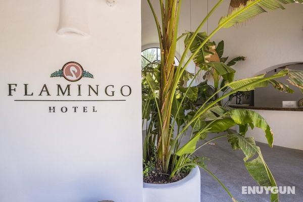 Flamingo Hotel Öne Çıkan Resim