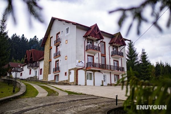 Hotel Floare de Colt Bucovina Öne Çıkan Resim