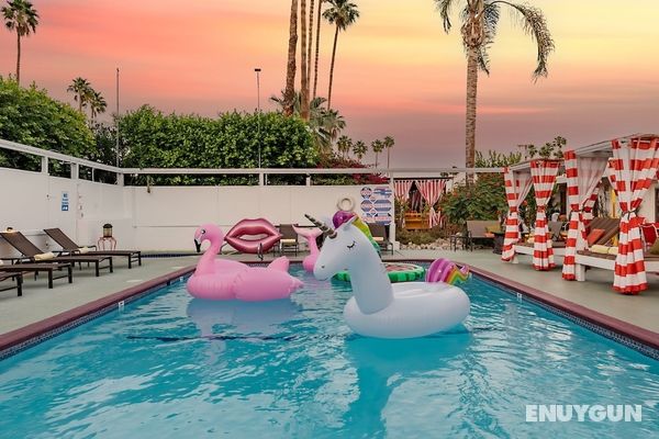 Float Palm Springs - Adults Only Öne Çıkan Resim