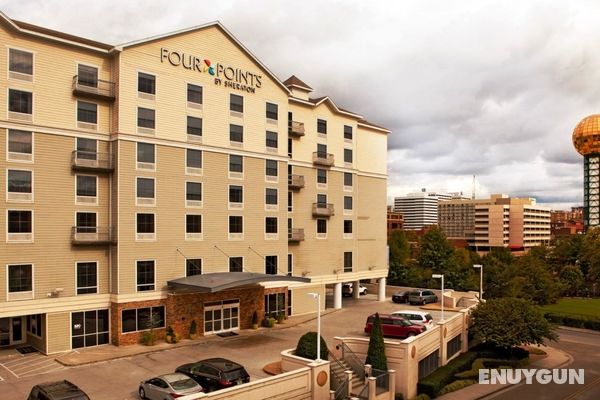 Four Points by Sheraton Knoxville Cumberland House Genel