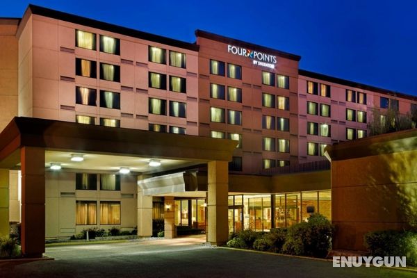 Four Points by Sheraton Toronto Airport Genel