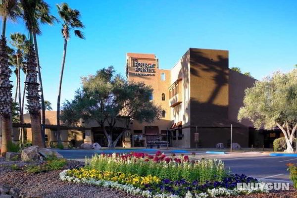 Four Points by Sheraton Tucson Airport Genel