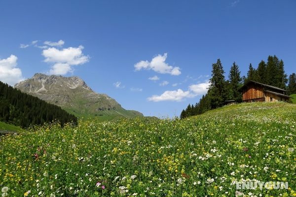 Hotel Garni Lavendel Genel