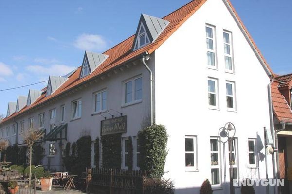 Hotel Gasthof Grüner Wald Genel