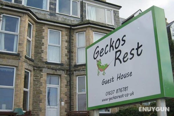 Geckos Rest Genel