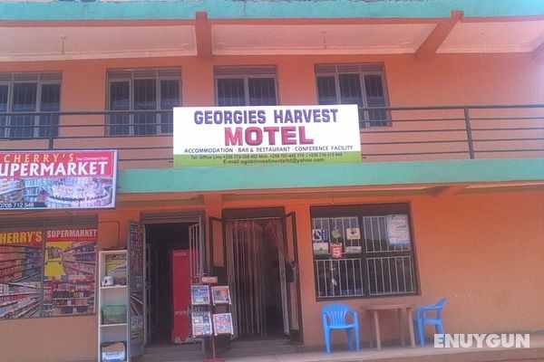 Georgies Harvest Motel Öne Çıkan Resim