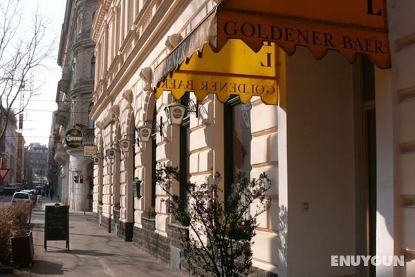 Goldener Baer Hotel Vienna Genel