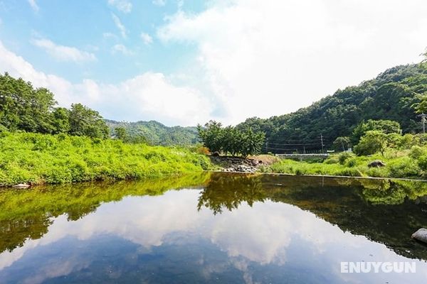 Gongju Hayan Pension Genel