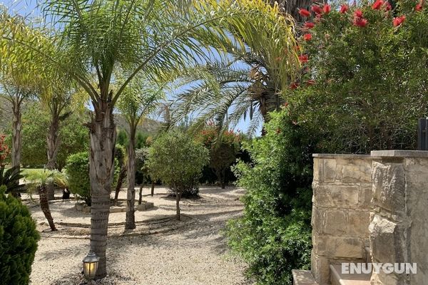 Gorgeous Bungalow by Pissouri Bay, With Private Pool, Landcaped Garden Dış Mekan