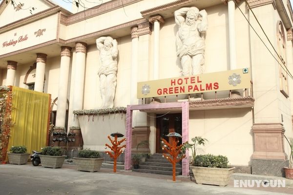 Green Palms Hotel Öne Çıkan Resim