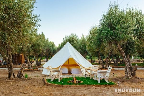 Guadalupe Valle Glamping Genel