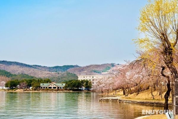 Gyeongju Bomun Hill Stay Pension Genel