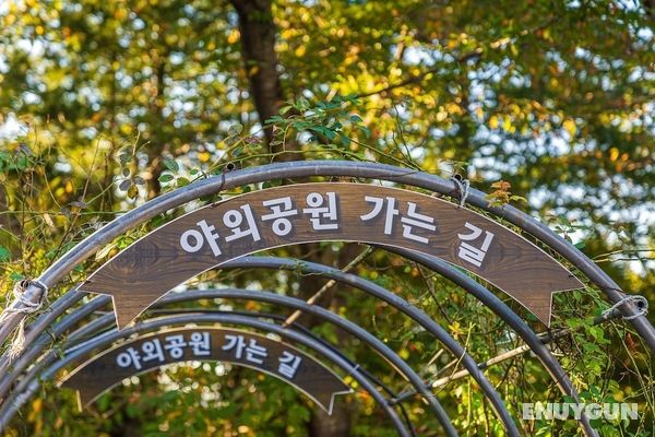 Gyeongju Bomun Zara Dış Mekan
