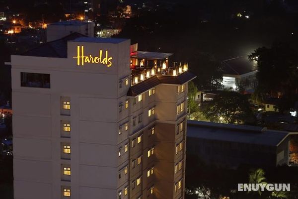 Harolds Hotel Genel