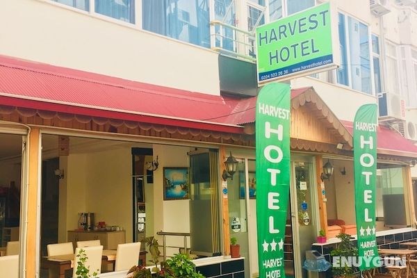 Harvest Hotel Genel