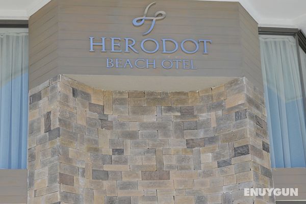 Herodot Beach Hotel Genel