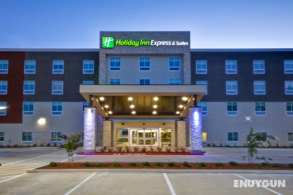 Holiday Inn Ex & Sts Houston NASA-Boardwalk Area Genel