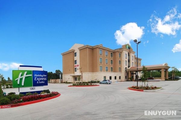 Holiday Inn Express and Suites Houston South Pearl Genel