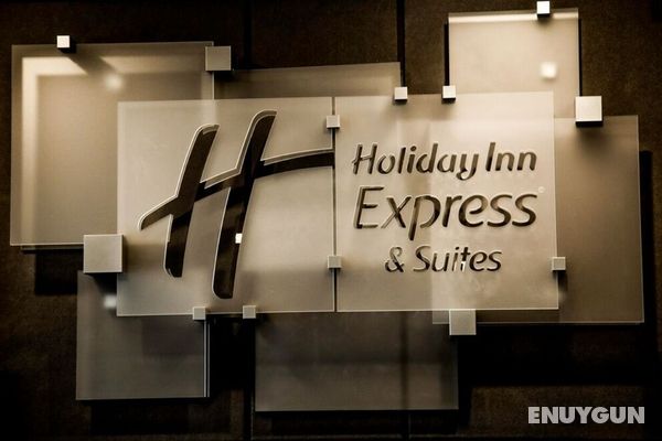 Holiday Inn Express and Suites Kingston-Ulster Genel