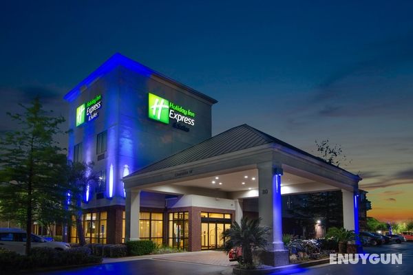Holiday Inn Express and Suites Mobile West I 65 Genel