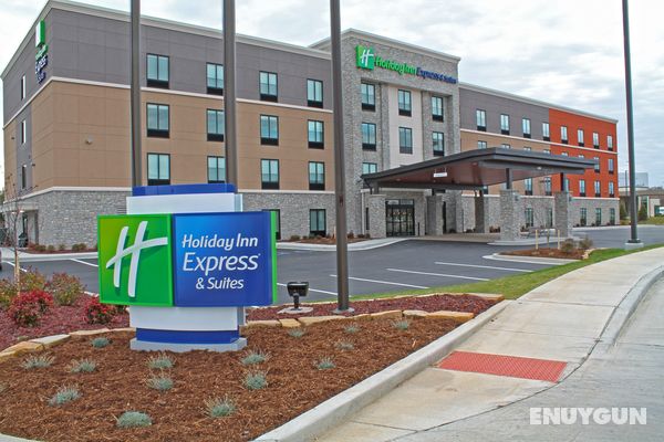 Holiday Inn Express and Suites St.Louis South-I-55 Genel
