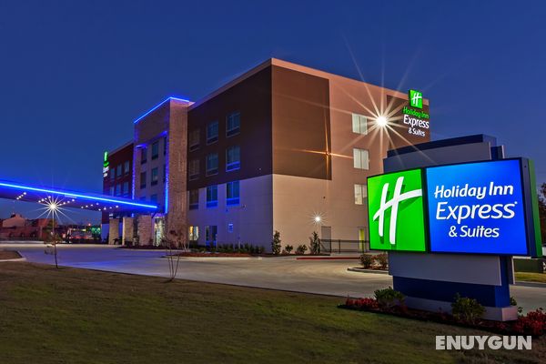Holiday Inn Express and Suites Tulsa West Sand Spr Genel