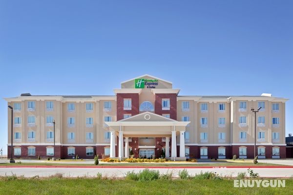 Holiday Inn Express Hotel & Suites Dumas Genel