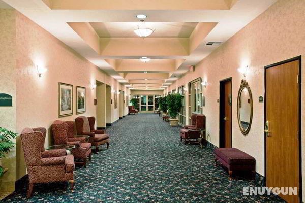 Holiday Inn Express & Suites Elk Grove East Genel