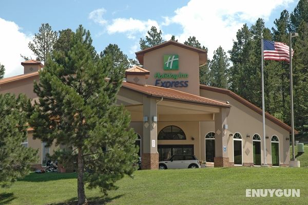 Holiday Inn Express & Suites Hill City - Mt. Rushm Genel