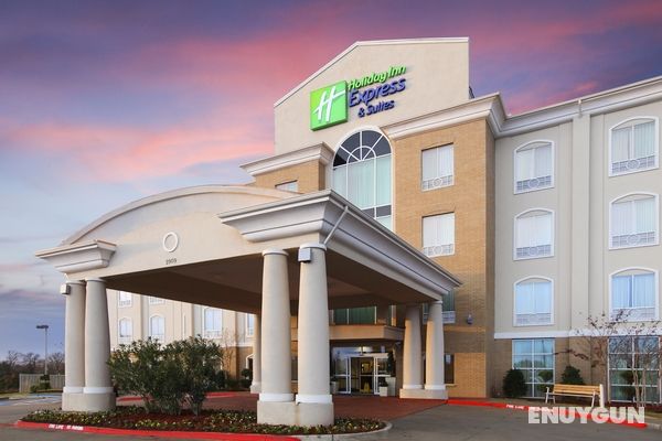 Holiday Inn Express Suites Sherman Hwy 75 Genel
