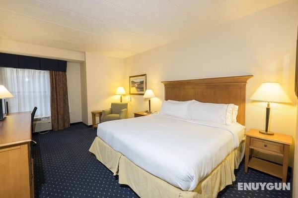 Holiday Inn Express & Suites Waynesboro Route 340 Genel