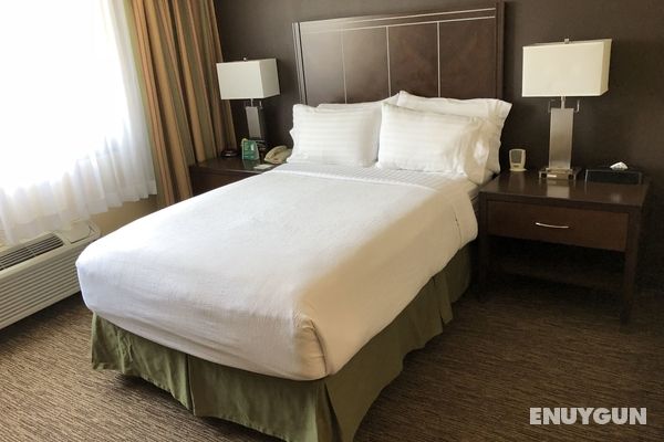 Holiday Inn Hotel & Suites Anaheim Genel