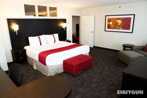 Holiday Inn & Suites Red Deer South Genel