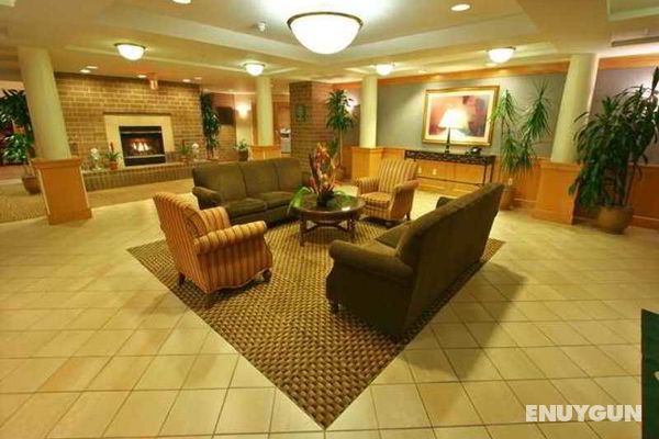 Homewood Suites by Hilton Dulles Intl Airport Genel