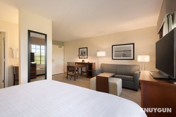 Homewood Suites by Hilton Jacksonville Deerwood Pa Genel